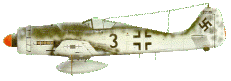 Fw190 Focke Wolfe - German Fighter of WW2